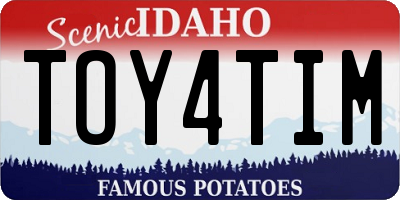 ID license plate TOY4TIM