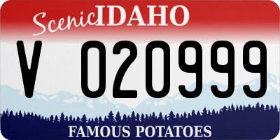 ID license plate V020999