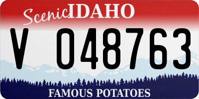 ID license plate V048763