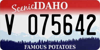 ID license plate V075642