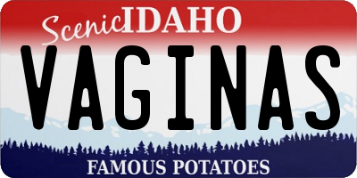 ID license plate VAGINAS