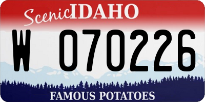 ID license plate W070226