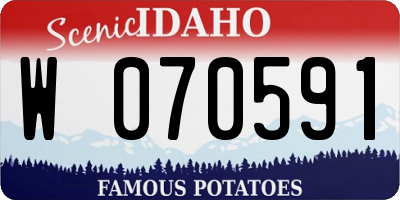 ID license plate W070591