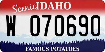 ID license plate W070690