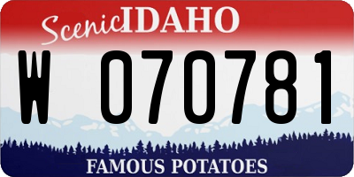 ID license plate W070781