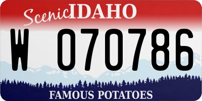 ID license plate W070786