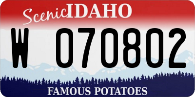 ID license plate W070802