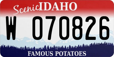 ID license plate W070826