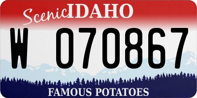 ID license plate W070867