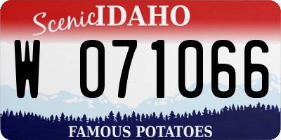 ID license plate W071066
