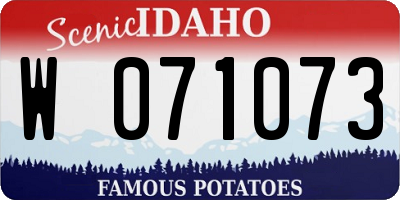 ID license plate W071073