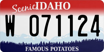 ID license plate W071124