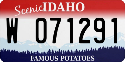 ID license plate W071291