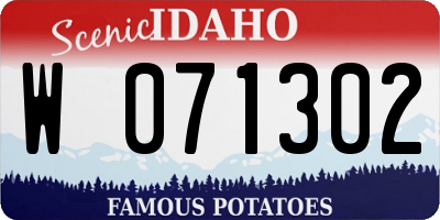 ID license plate W071302