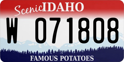 ID license plate W071808