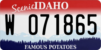 ID license plate W071865