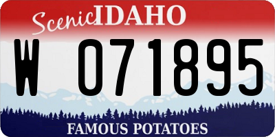 ID license plate W071895