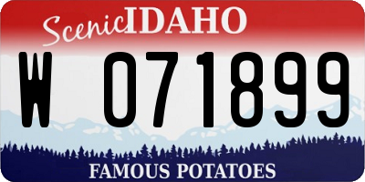 ID license plate W071899