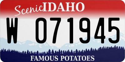 ID license plate W071945