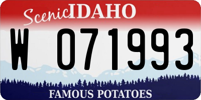 ID license plate W071993