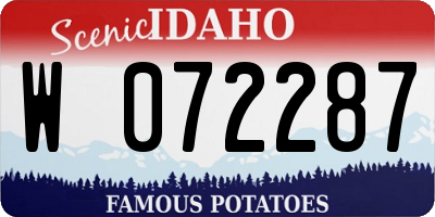 ID license plate W072287