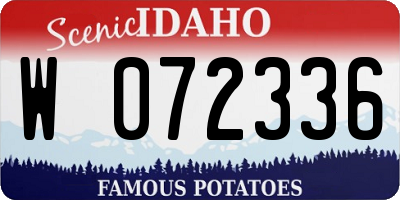 ID license plate W072336
