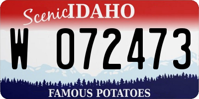 ID license plate W072473