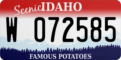 ID license plate W072585