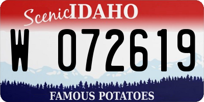 ID license plate W072619