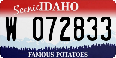 ID license plate W072833