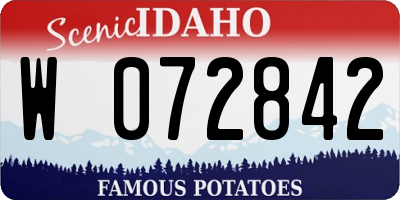 ID license plate W072842