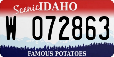 ID license plate W072863