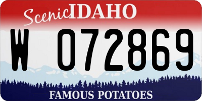 ID license plate W072869