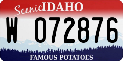 ID license plate W072876