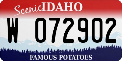 ID license plate W072902
