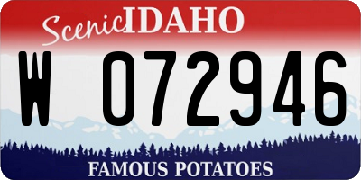 ID license plate W072946