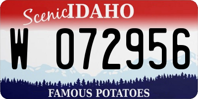 ID license plate W072956