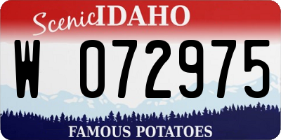ID license plate W072975