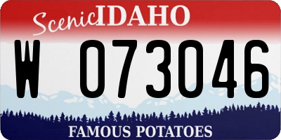 ID license plate W073046