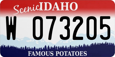 ID license plate W073205
