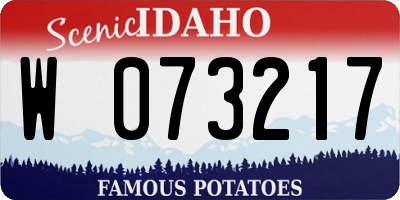 ID license plate W073217