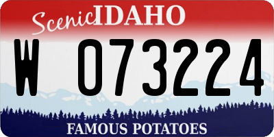 ID license plate W073224