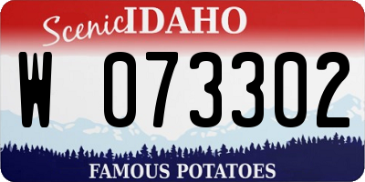 ID license plate W073302