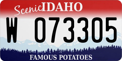 ID license plate W073305