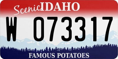 ID license plate W073317