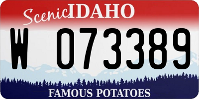 ID license plate W073389