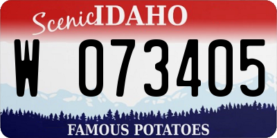 ID license plate W073405