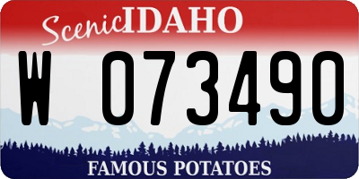 ID license plate W073490