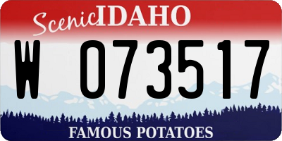 ID license plate W073517