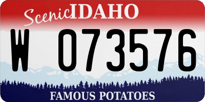ID license plate W073576